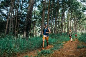 BIB: 
                            <button type="button" onclick="openModal(25759893)" class="btn btn-primary btn-sm float-right btn-popup" data-toggle="modal" data-target=".modal-high-quality">
                        <i class="fas fa-shopping-cart"></i> Add to Cart
                    </button>
                                            <button type="button" onclick="isThisMe(25759893, true)" class="btn btn-success btn-sm float-right btn-popup btn-isme hidden" data-toggle="tooltip" data-placement="bottom" title="นี่คือรูปของคุณใช่ไหม คลิกที่นี่เพื่อเอาเข้าอัลบั้ม">
                        <i class="fas fa-plus"></i> Add to album
                    </button>
                    <button type="button" onclick="isThisMe(25759893, false)" class="btn btn-warning btn-sm float-right btn-popup btn-isnotme hidden">
                        <i class="fas fa-ban"></i> Remove from album
                    </button>